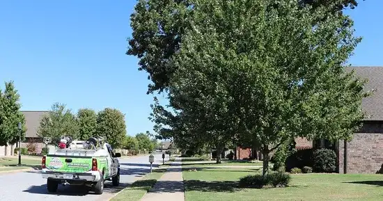 Green lawn care truck parked along a tree-lined neighborhood street